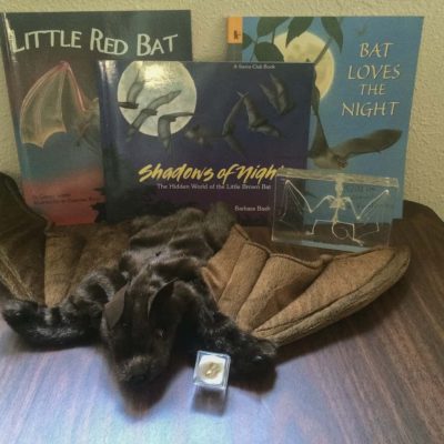 Bat items
