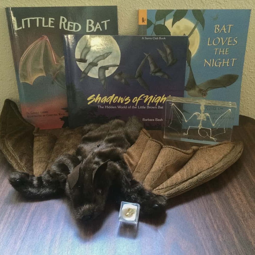 Bat items